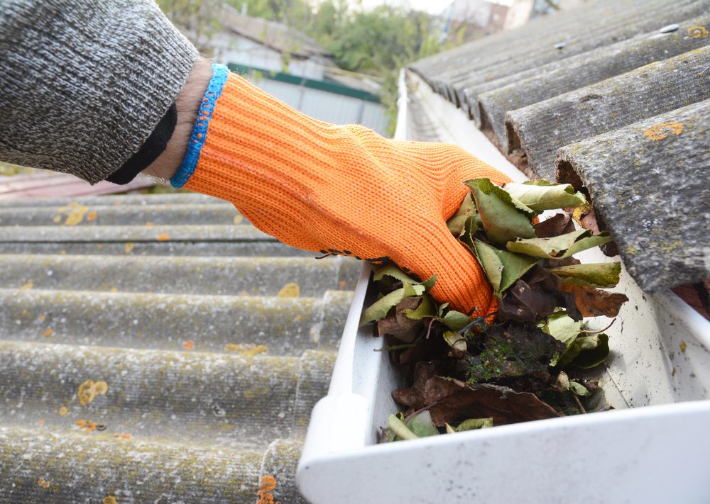 Rain,Gutter,Cleaning,From,Leaves,In,Autumn,With,Hand.,Roof